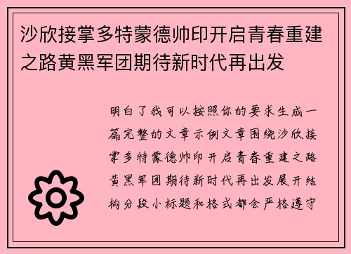 沙欣接掌多特蒙德帅印开启青春重建之路黄黑军团期待新时代再出发